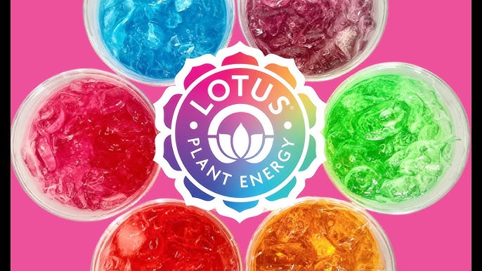 lotus energy drink